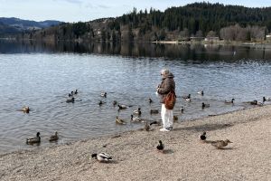 IMG_0741
