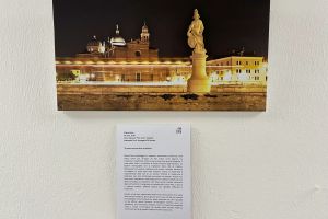 IMG_1382