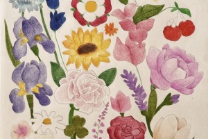 "I fiori dell'Europa", Disegno, Ginevra-Oliveri