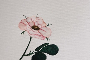 Snapseed-dematteis-giada_A2